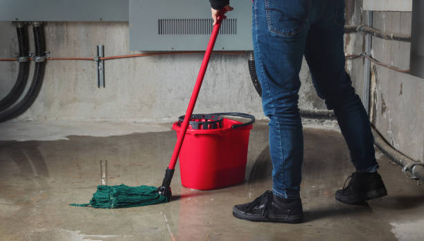 Best Basement water damage restoration  in Chebanse, IL