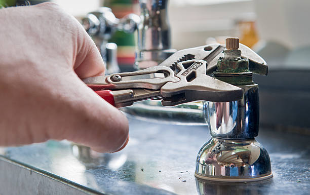 Best Water damage cleanup near me  in Chebanse, IL