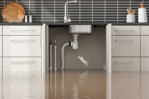 Reliable Chebanse, IL Water damage restoration Solutions
