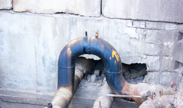 Best Carpet water damage restoration  in Chebanse, IL